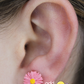 Aretes · Flor Gerbera Rosa