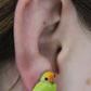 Aretes · Periquito Verde